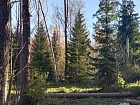 Краснополье пос.