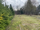 Ивановка (Пудостьская волость) дер., Лесная ул., 17