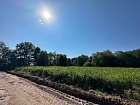Красные Горы дер.