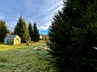 Сирень снт