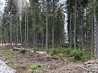 Сертолово г., Медное озеро 3 днп