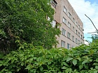Пушкин г., Генерала Хазова ул., 10