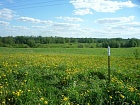 Турово дер.