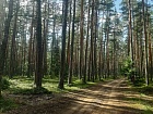 Снетково массив