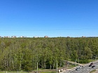 Ипподромный пер., 1