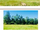 Корнево дер.