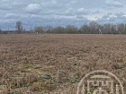 Сланцы г., Баранова ул.