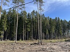 Мертуть массив, Озерная долина днп