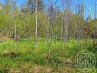 Львовские Лужки КП, Пограничная ул., 43