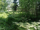 Заозерье снт