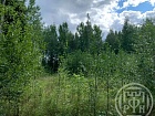 Посадников Остров массив