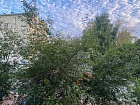 Ломоносов г., Александровская ул., 33