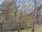 Замошье дер., 38